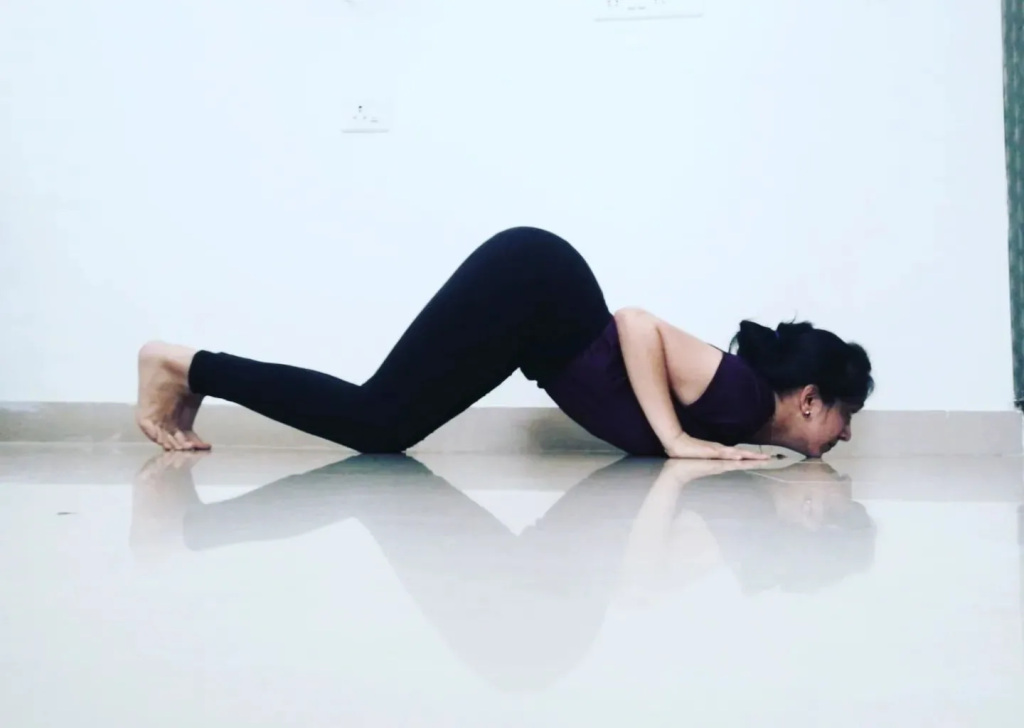 Ashtanga Namaskara (Eight-Limbed Pose) 